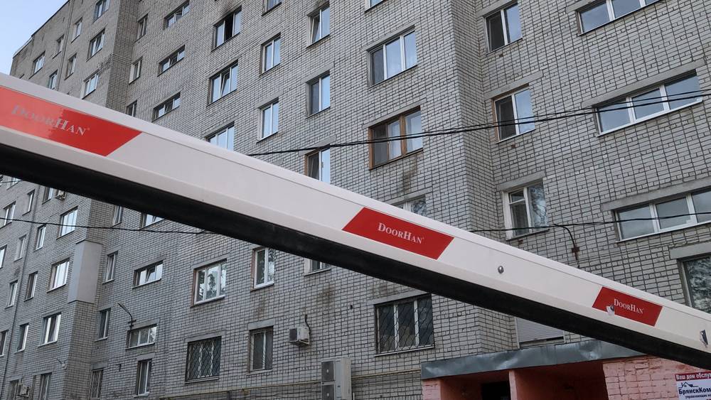 Брянцы еще не жили при идеальных порядках, но уже захотелось анархии