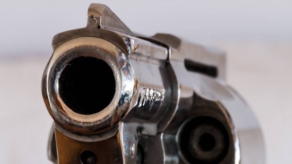 В Брянске курьер выстрелил в собаку, а потом − в защитившего ее человека