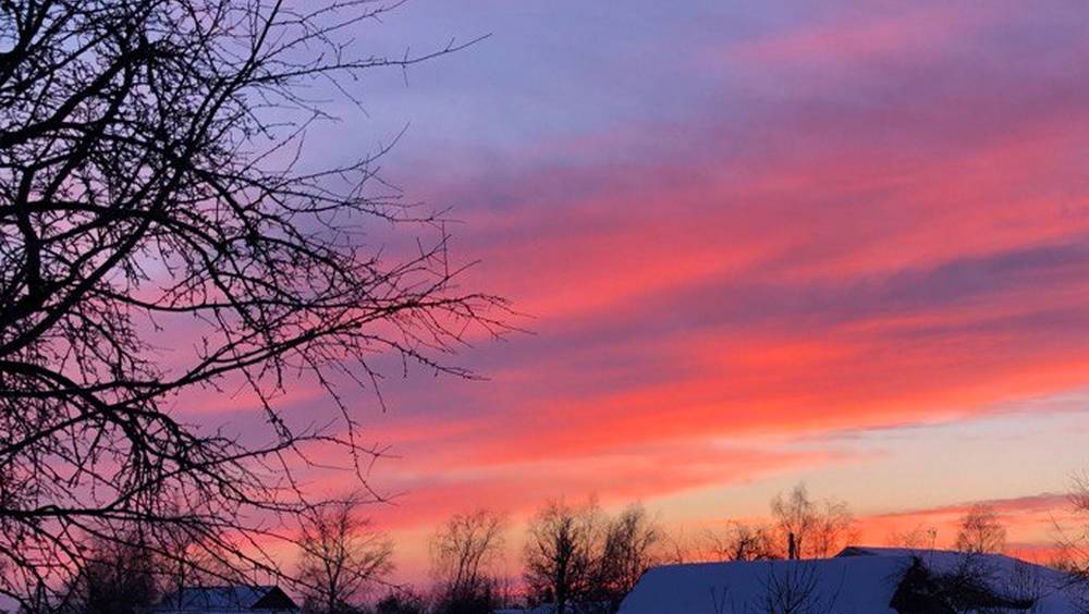 Гидрометцентр не отменил «желтый» уровень погодной опасности в Брянской области