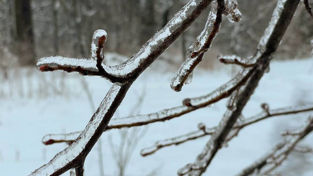 Брянский народ начал падать, резко выросло число травмированных на льду