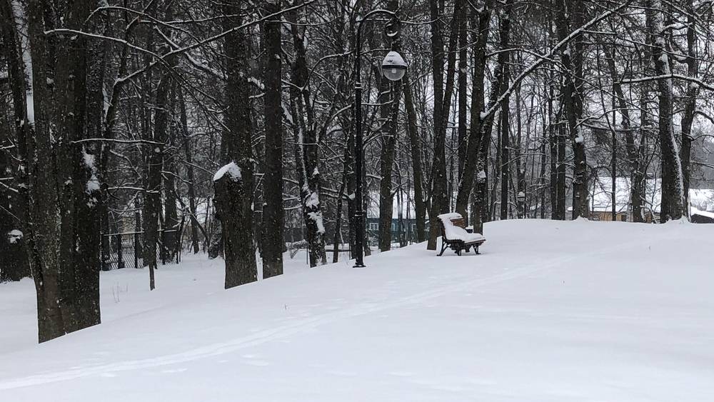 В Брянскую область придут крепкие морозы  