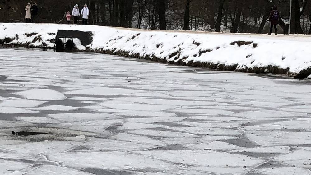 В Брянске опубликовали видео о бегающих по кромке льда на Десне детях