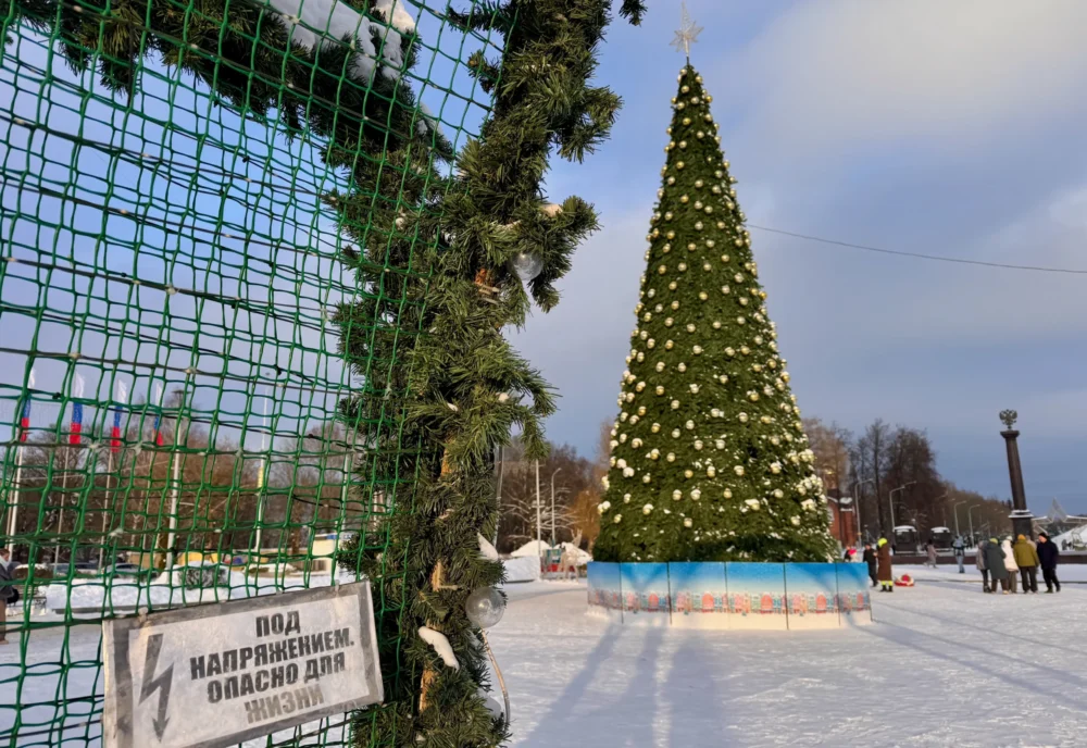 Жители Брянска могут узнать, куда сдать новогоднюю елку на переработку, на карте Авито