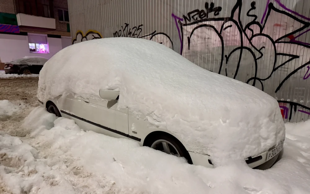 Снегопад в Брянске обнаружил «болезни» общедомовых чатов в Max