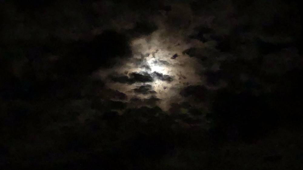 ВСУ нанесли удар по брянской деревне Горицы из чернеющего приграничья