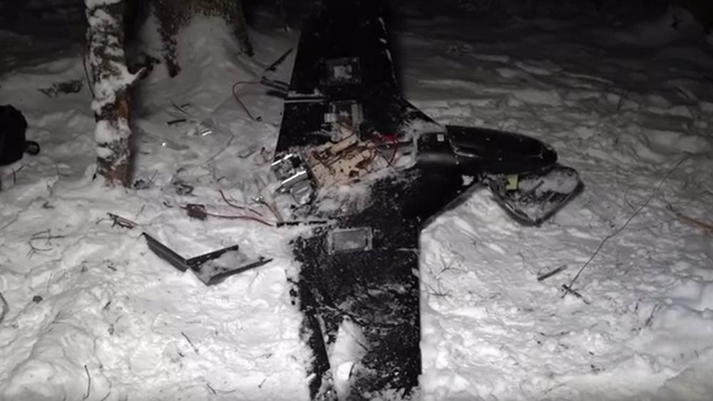 Бандеровцы нанесли самый сильный удар по Брянской области