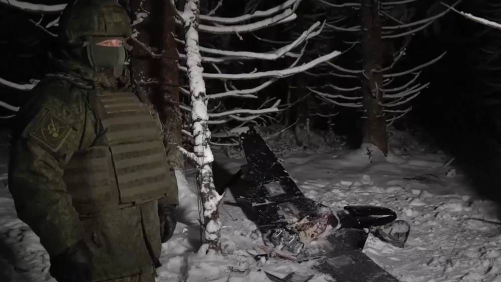 Новогодней ночью в Брянской области уничтожили 61 вражеский беспилотник