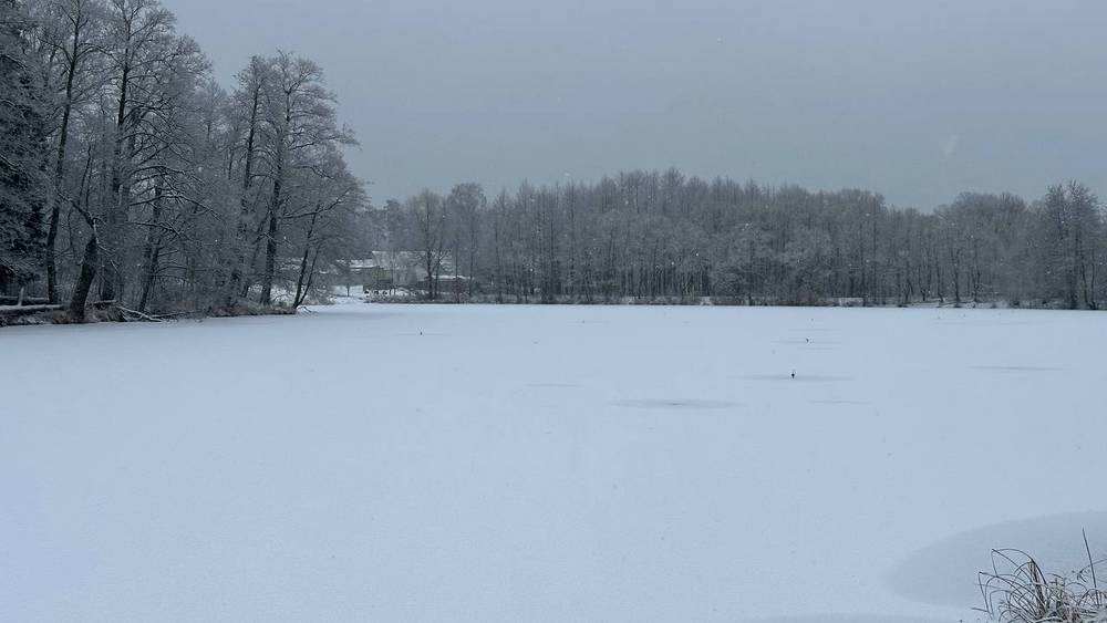 Гидрометцентр сообщил, когда в Брянской области резко потеплеет