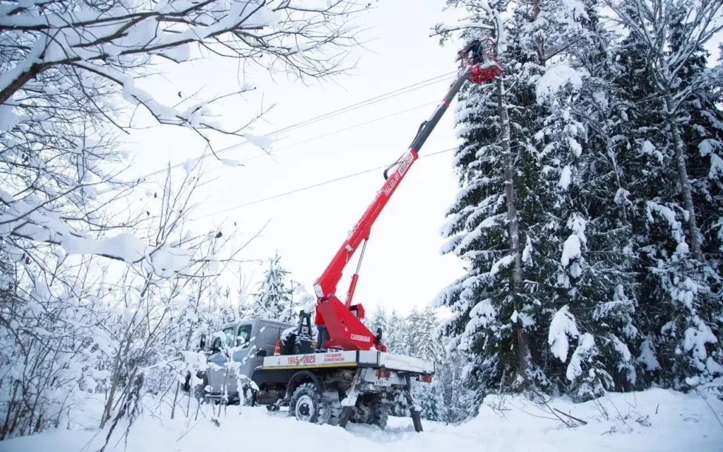 Брянская область вышла из тьмы: свет вернулся к 90 процентам потребителей