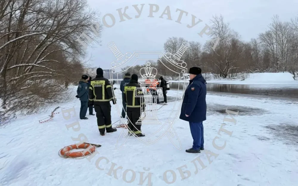 В Брянске провалились под лед на Десне и погибли двое подростков