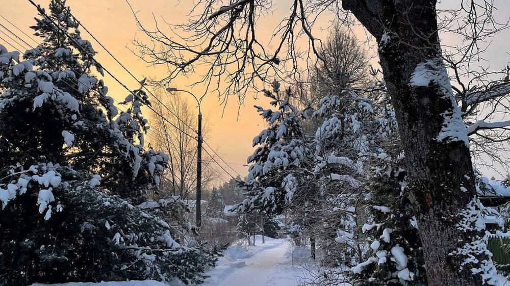 Брянская область скоро попадет в изматывающие температурные качели