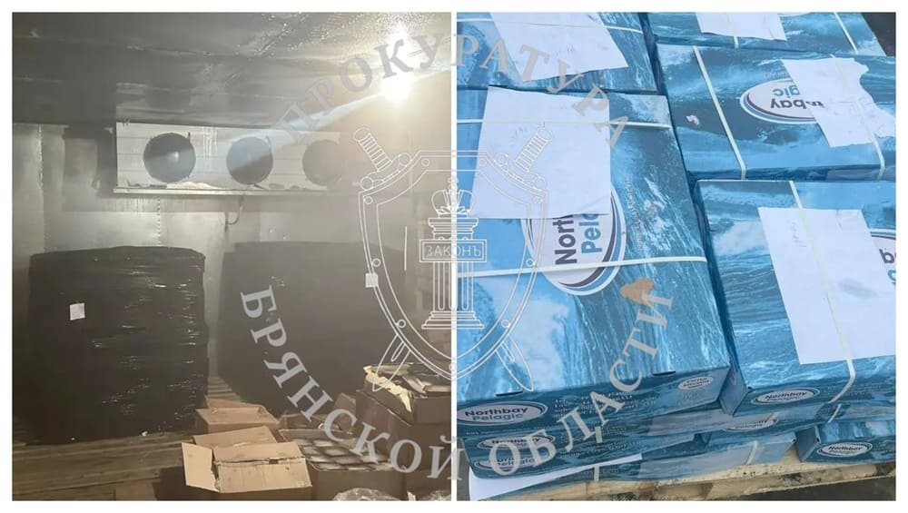 В Злынке брянца оштрафовали на 200000 рублей за контрабанду мороженой рыбы