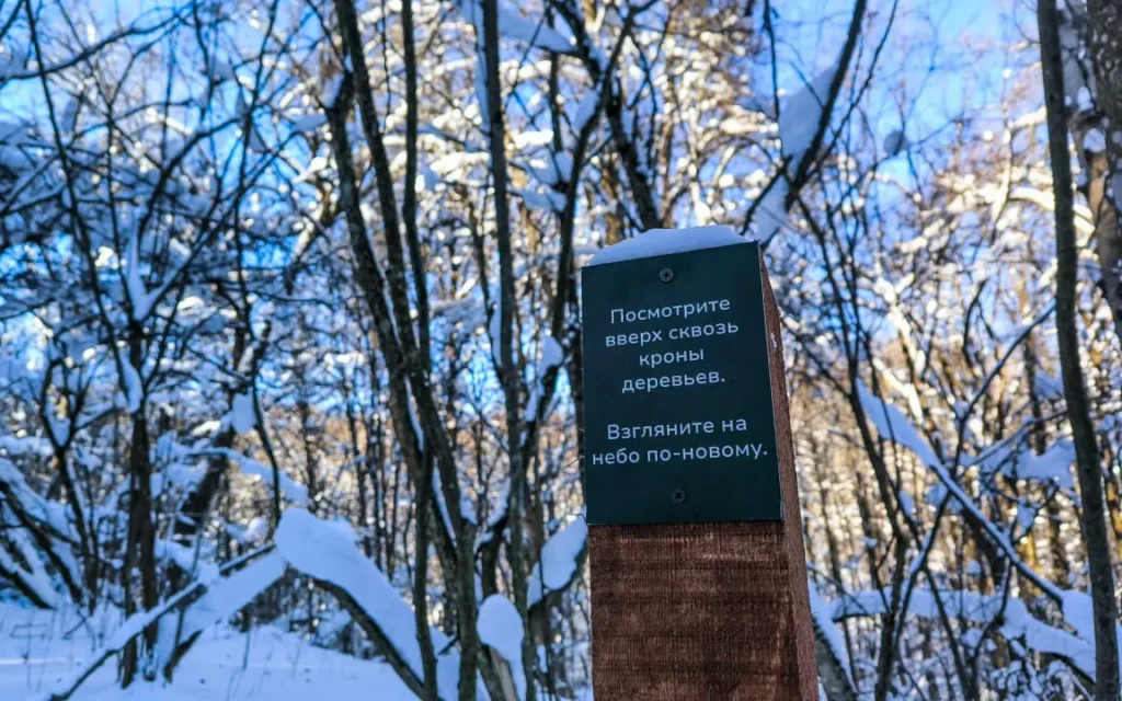 В брянской роще «Соловьи» появились необычные информационные столбики