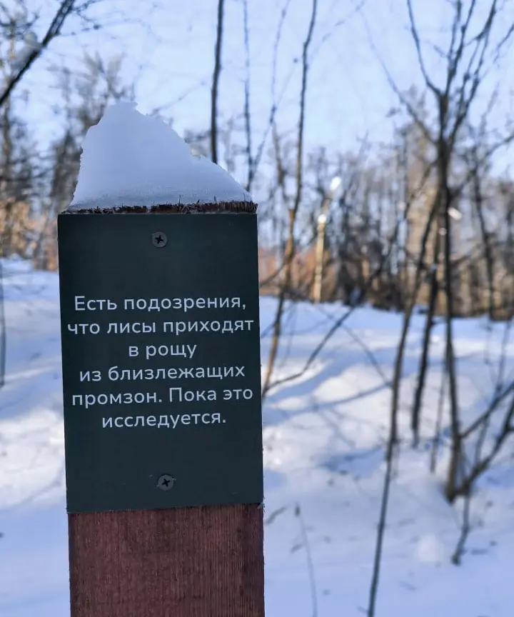 В брянской роще «Соловьи» появились необычные информационные столбики