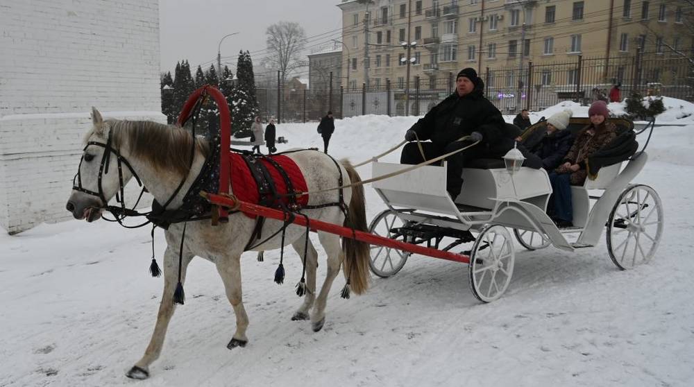На площади Брянского кафедрального собора прошла рождественская акция «Катание на лошадях»