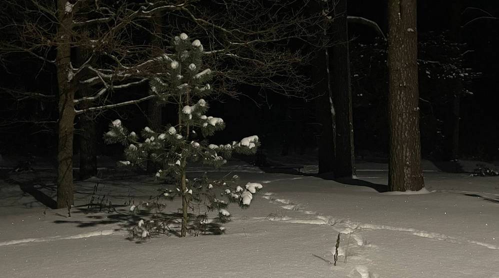 В Брянской области ночью 5 января похолодает до 12 градусов мороза