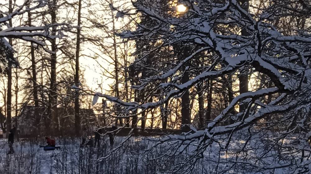 Жителей Брянской области ночью 18 января испытает 25-градусный мороз