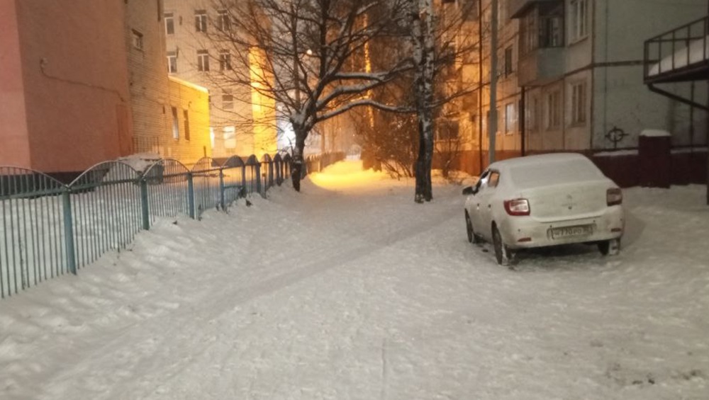 Жителей Брянской области предупредили о 23-градусных морозах до 4 февраля