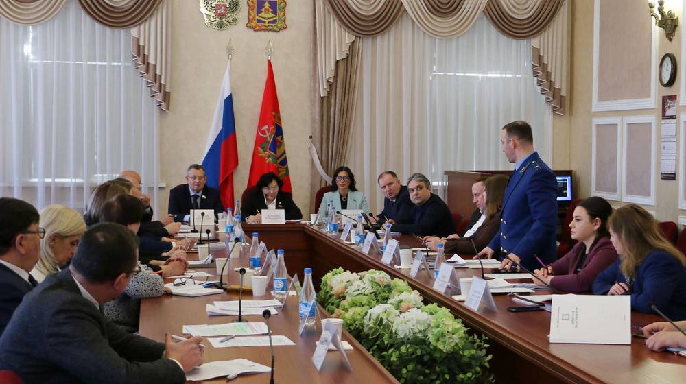 Перспективы развития сферы образования и культуры обсудили брянские парламентарии