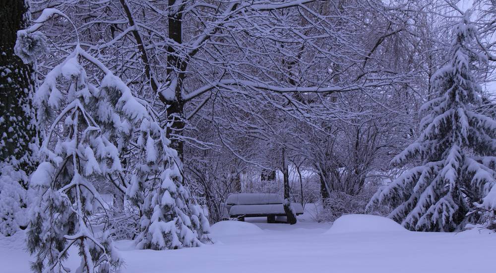 Жителей Брянской области предупредили о новых снегопадах