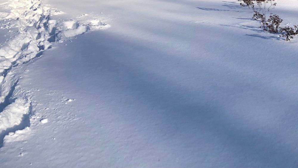 В Брянской области начнется период изматывающей погоды
