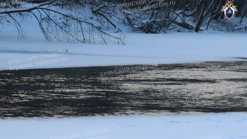 Добровольцы рассказали, в каких условиях нашли утонувшего брянского мальчика