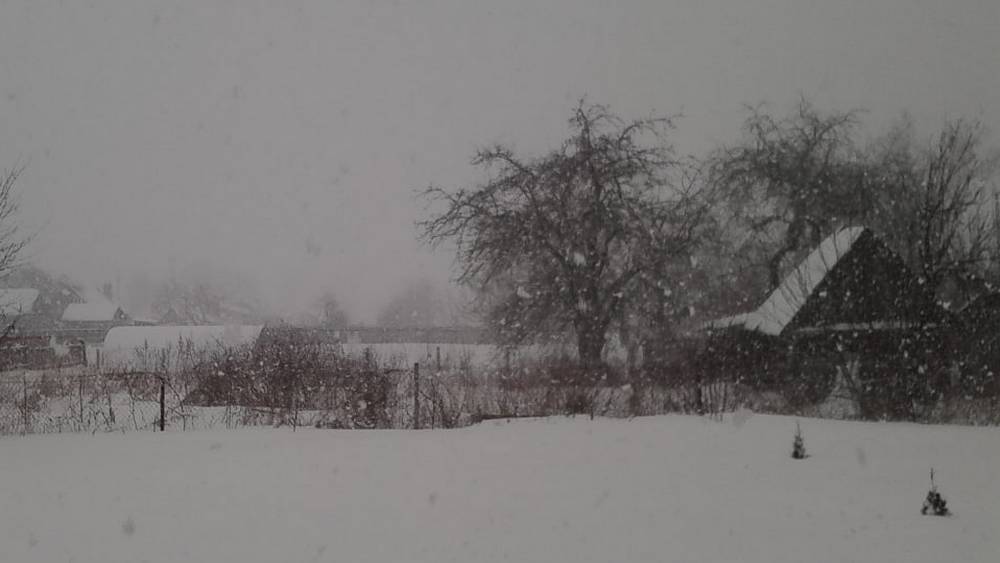 На Брянскую область циклон обрушит чудовищный снегопад