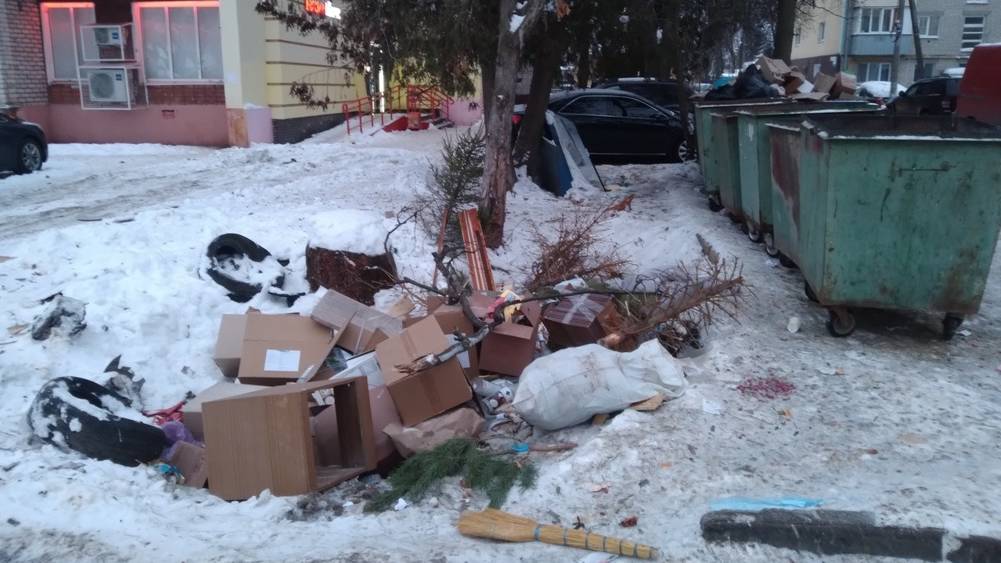 Брянец провел исследование мусорной площадки и пришел к удивительному выводу