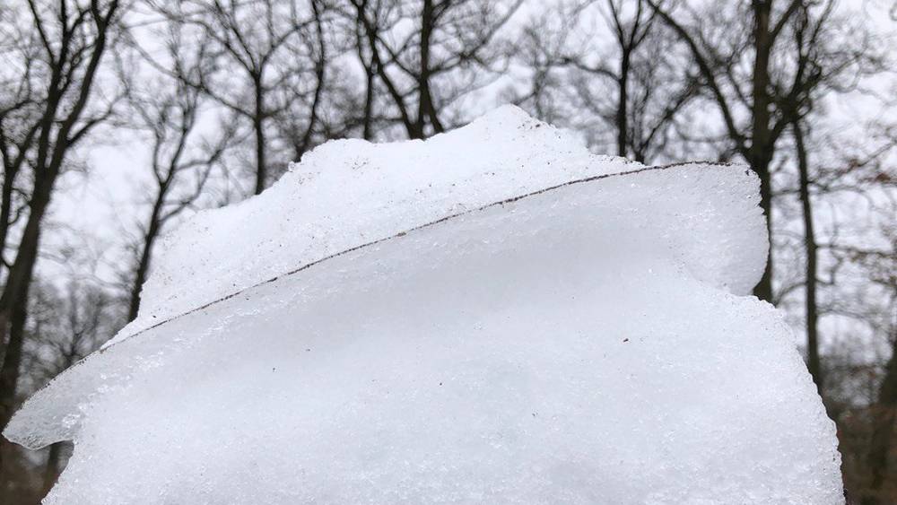 Оттепель обернется серьезными испытаниями для жителей Брянской области