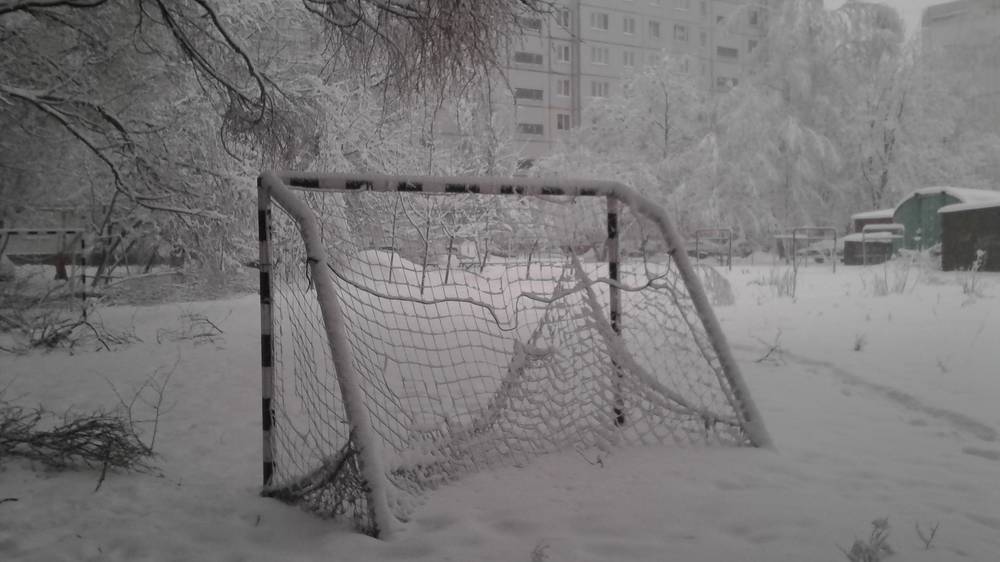 Брянец Тишковец объявил боевую тревогу в связи с подходом «полчищ» снеговых туч
