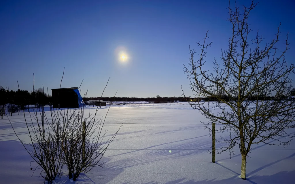 От минус 18 до 4 градусов тепла: Брянщину ждет резкое потепление после морозов