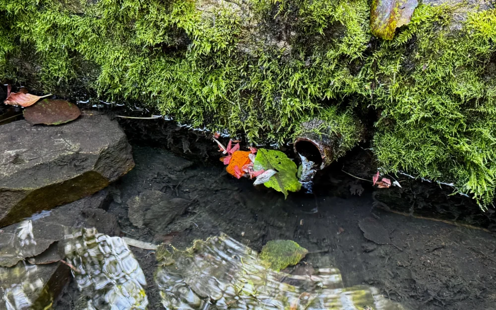 В Брянской области 1 миллиард рублей пустят по трубам