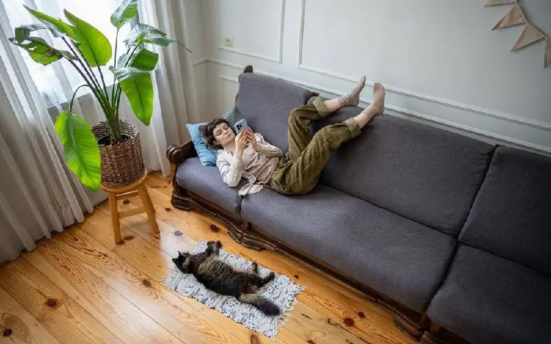 Молодые брянцы могут поговорить о личном с ИИ-ассистентом