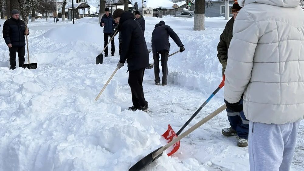 В Брянске вооружённый лопатами «снежный десант» очистил скверы и детские площадки