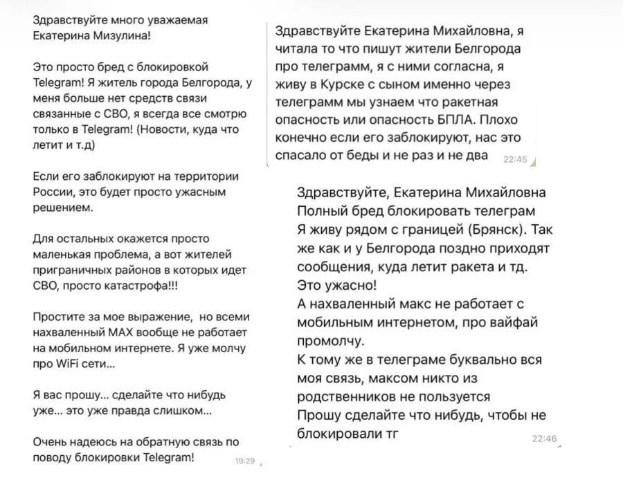 «Защитница интернета» Мизулина распространила сомнительную информацию о Брянске