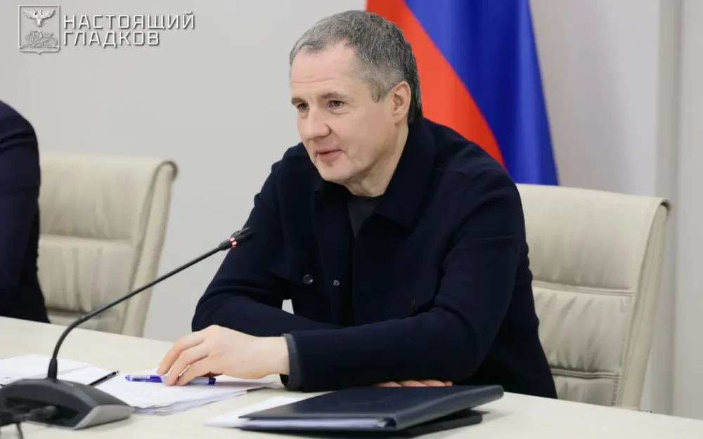 «Обида на власть»: водитель отказался подвозить губернатора