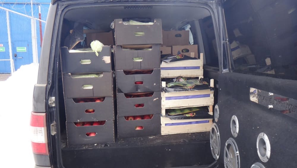Возле брянской границы поймали водителя с 500 кг нелегальных овощей и фруктов