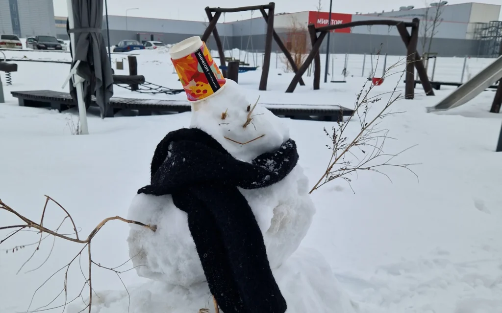 Агрохолдинг помог расчистить 50 км брянских дорог после рекордных снегопадов