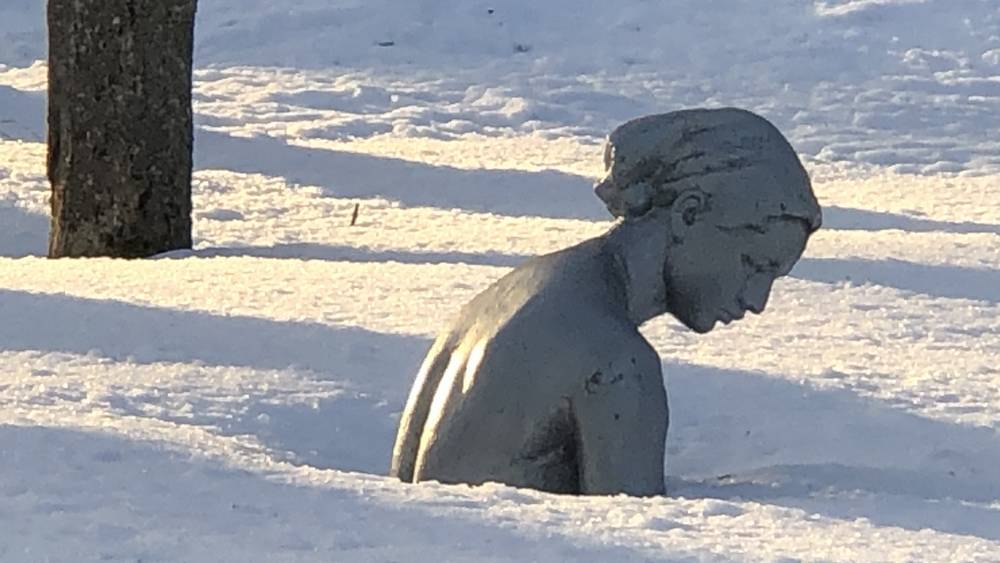 Укрепить иммунитет после зимы брянцам помогут советы Роспотребнадзора