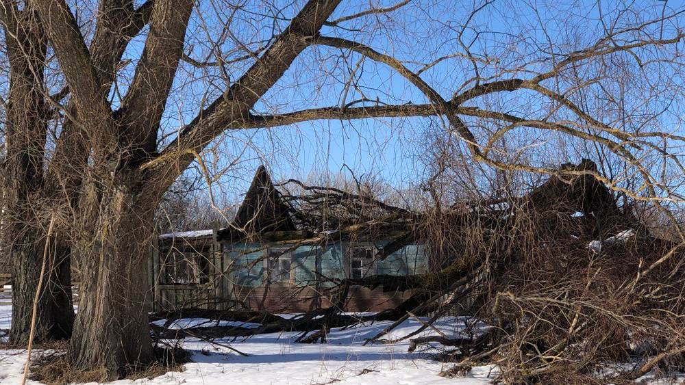 В Кремле заявили об упадке частных СМИ − брянский депутат притворно удивился