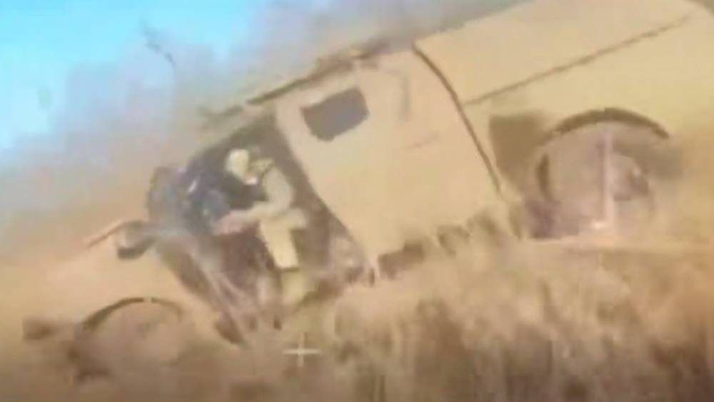 За брянской границей взяли в плен странного Семеру