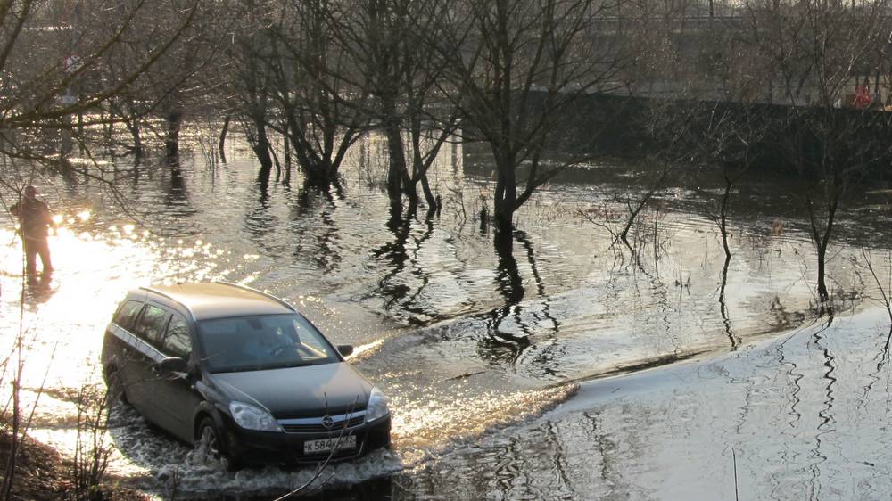 В Брянске ограничили движение под мостом из-за разлива Свени