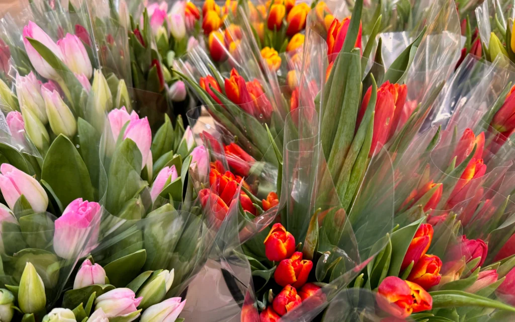 В Брянске началась цветочная лихорадка перед 8 Марта