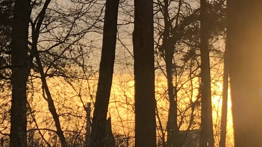 Александр Богомаз рассказал о происшествии в брянском приграничье