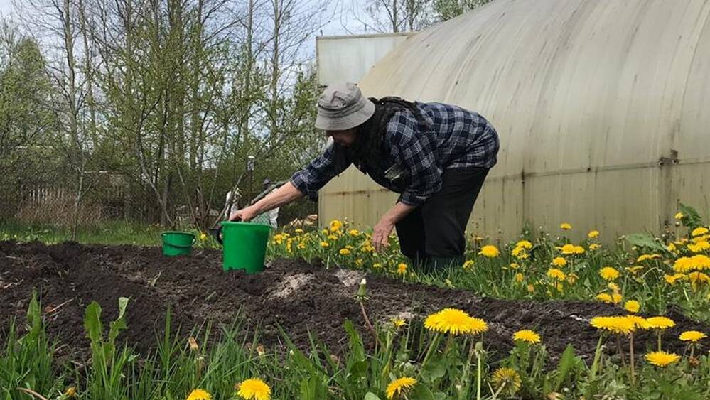 В Брянской области синоптики пообещали 29 марта майскую погоду