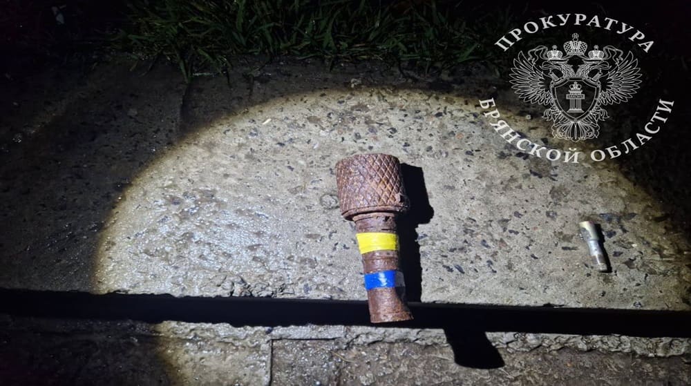 Брянский пенсионер получил 2,5 года колонии за оставленную в туалете ТРЦ гранату