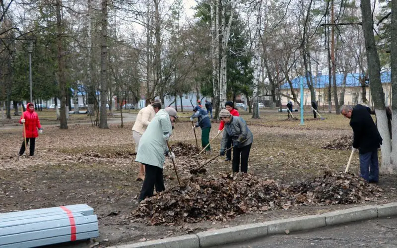 Жителей Брянска 20 марта позвали на первую большую уборку после зимы