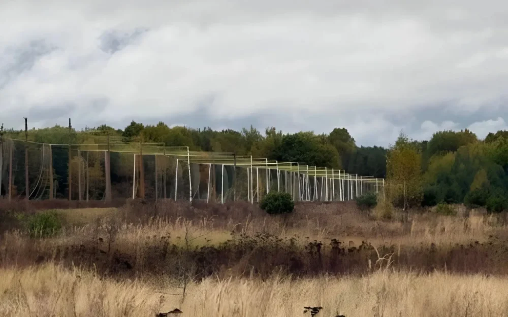 Брянский опыт «коридоров жизни» переняла Белгородская область