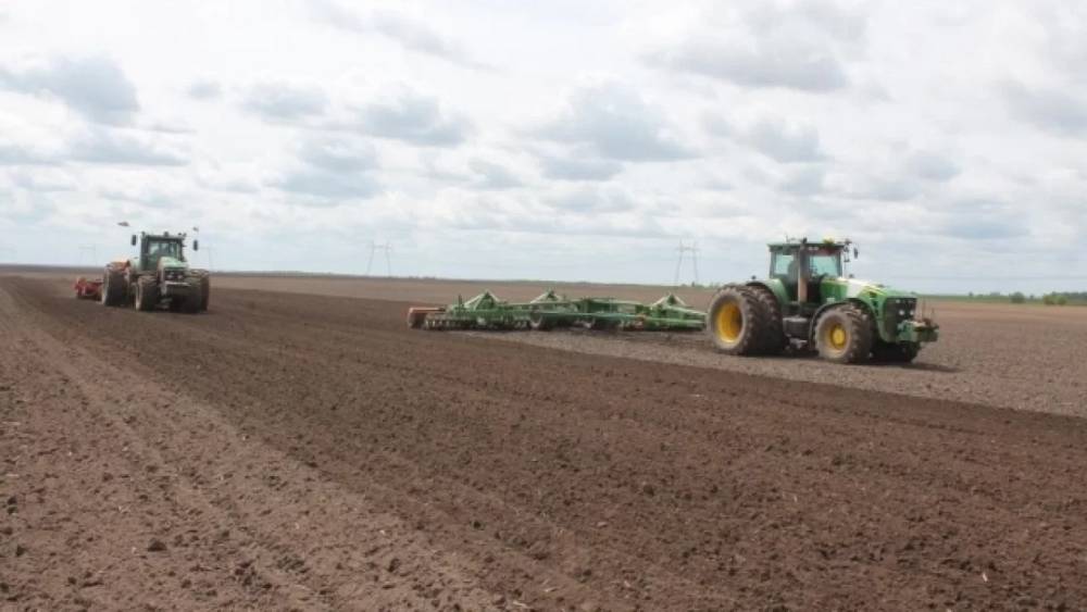В юго-западных районах Брянской области начался сев яровых зерновых