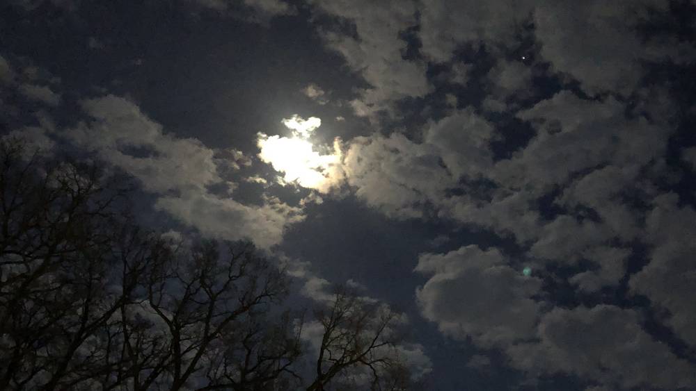 Брянцев предупредили о критичном похолодании предстоящей ночью